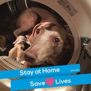 Meet your Posher, Charles